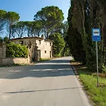 Pandolfi Elmi