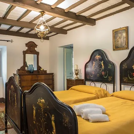 Pandolfi Elmi Pensión