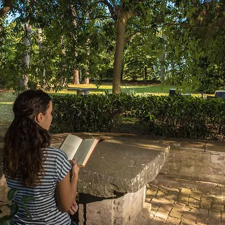 Pandolfi Elmi Pensión