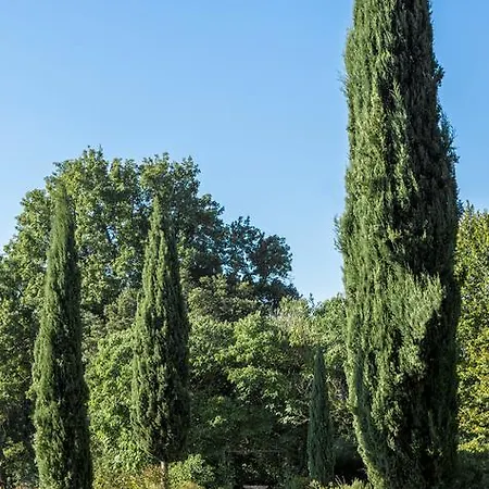 Pandolfi Elmi 招待所