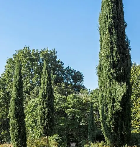 Pandolfi Elmi Casa de hóspedes